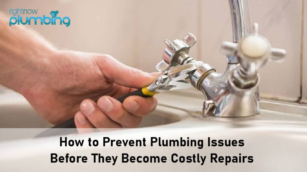 Prevent-Plumbing-Issues